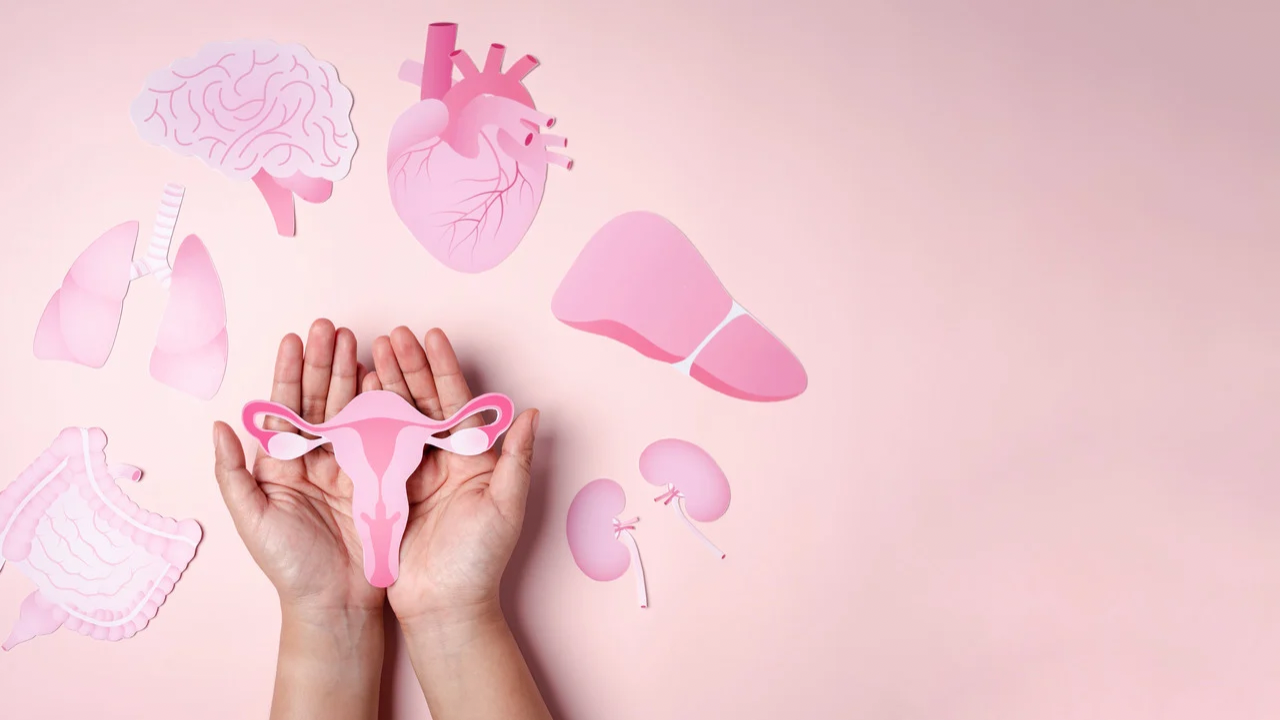 Featured image for “Boosting Energy and Beating Menopause Fatigue”